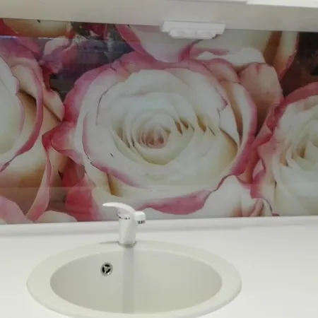 апартамент Roses Apartament *