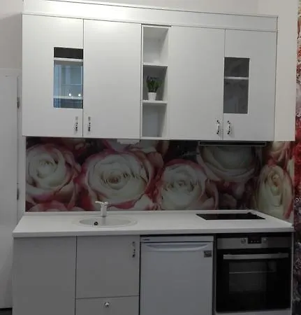 апартамент Roses Apartament *